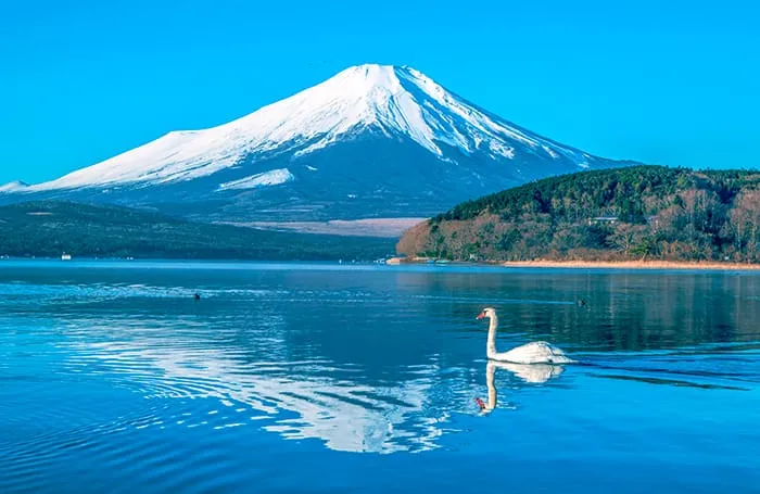  ทะเลสาบยามานากะโกะ (Lake Yamanaka)