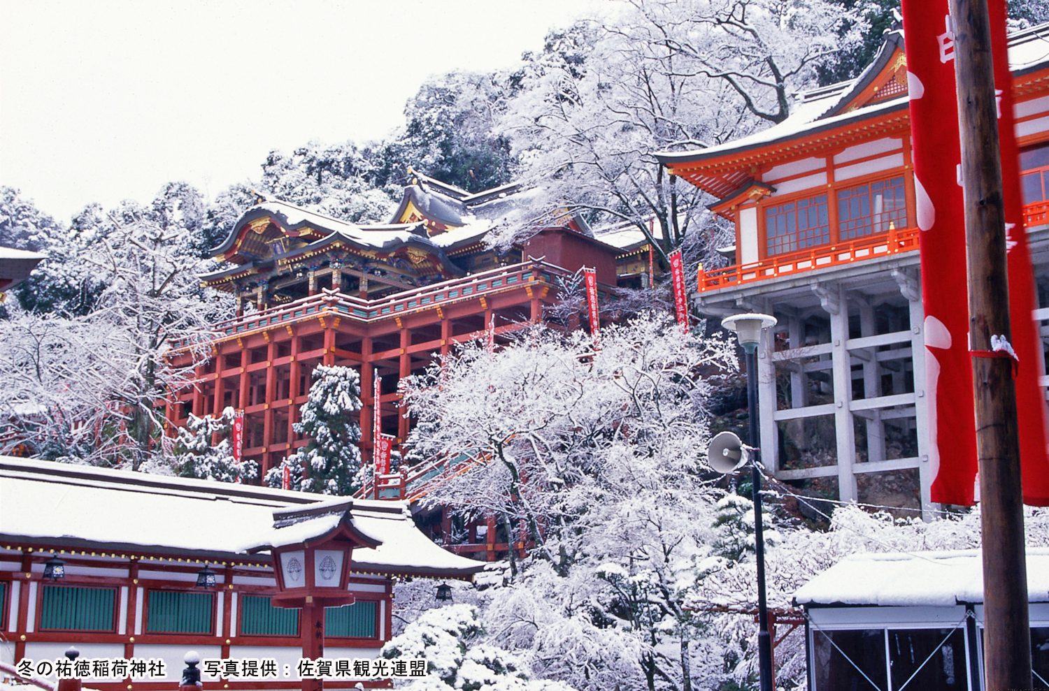 Package Image