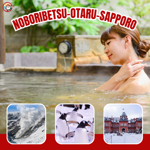 Package Image