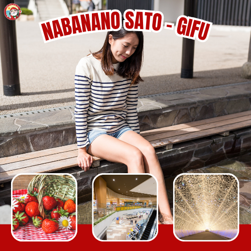 Package Image