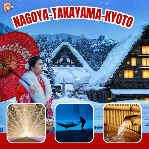 Package Image