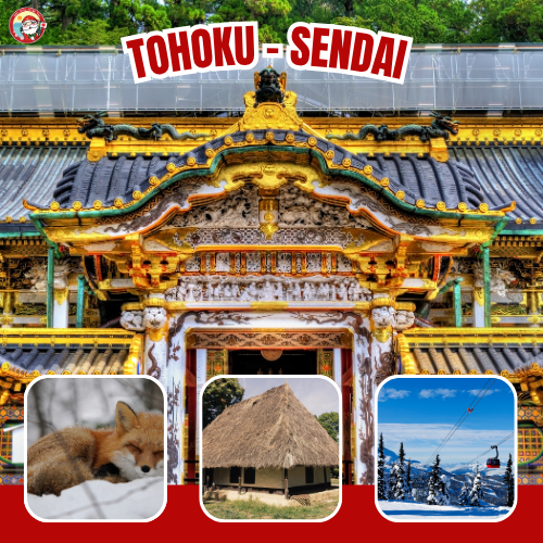 Package Image