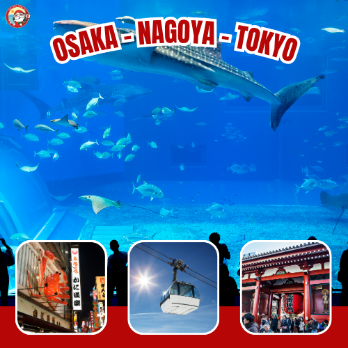 Package Image