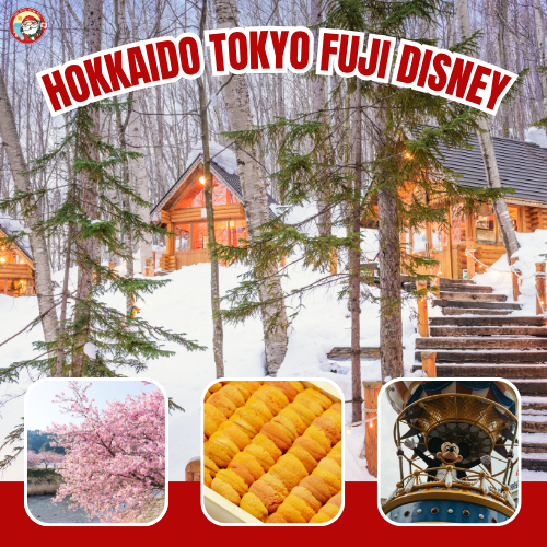 Package Image