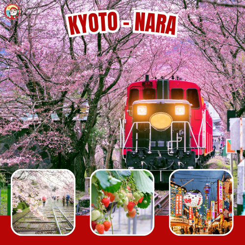 Package Image